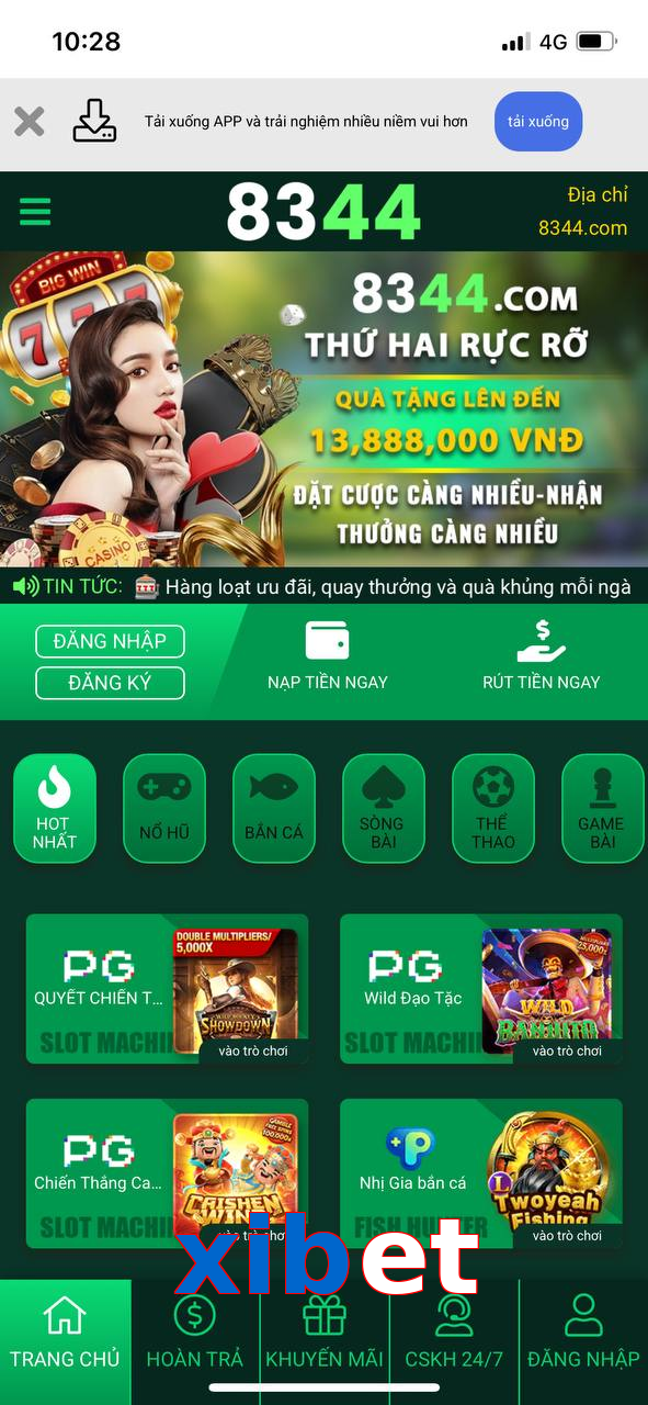 xibet